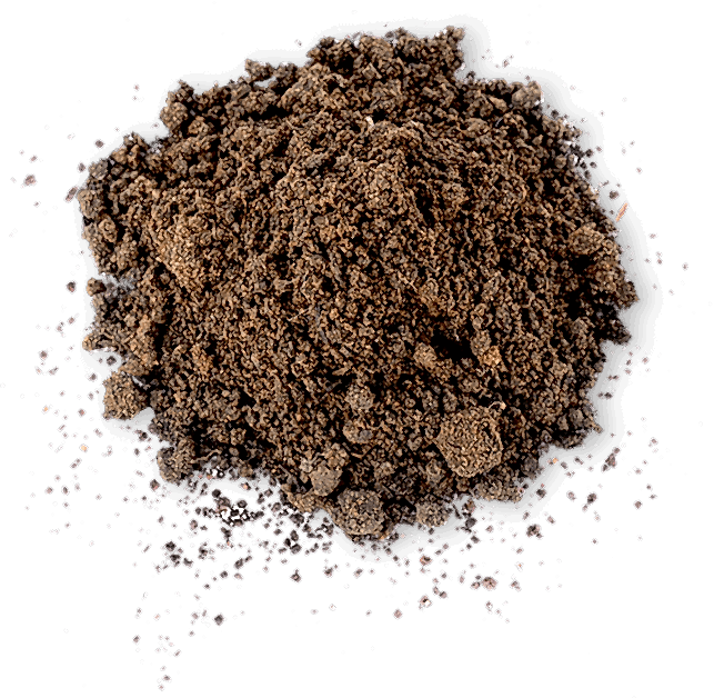 Toprak Dünyasından Evinize