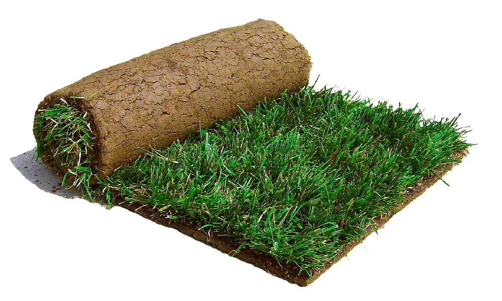 Rulo Çim Tohum Çim Uygulaması